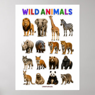 野生動物チャート ポスター