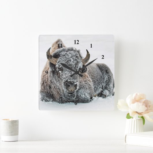 野生動物バッファローの雪写真 スクエア壁時計 (ホーム)