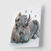 野生動物バッファローの雪写真 スクエア壁時計 (傾斜)