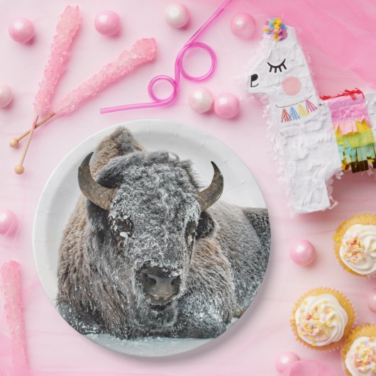 野生動物バッファローの雪写真 ペーパープレート (パーティー)