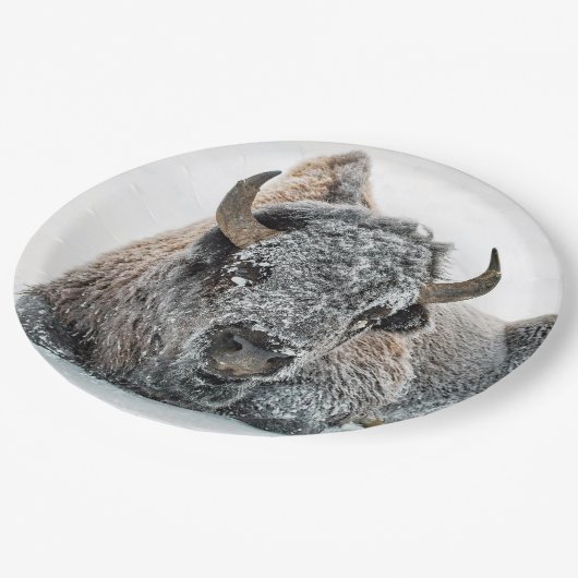 野生動物バッファローの雪写真 ペーパープレート (アングル)