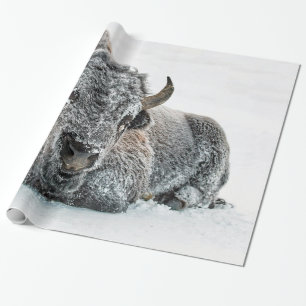 野生動物バッファローの雪写真 ラッピングペーパー