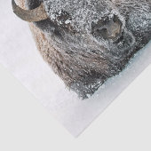 野生動物バッファローの雪写真 薄葉紙 (詳細)