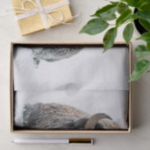 野生動物バッファローの雪写真 薄葉紙 (ギフト)