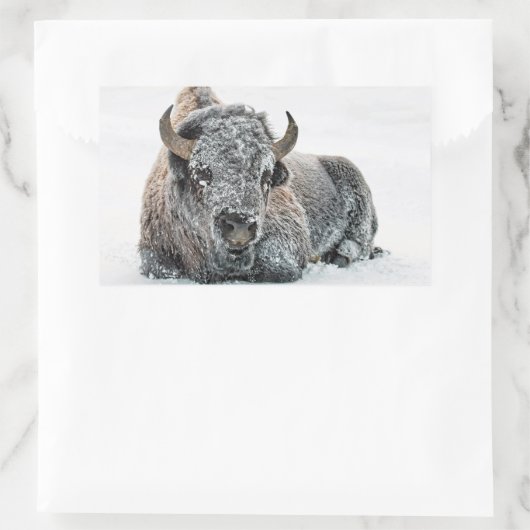 野生動物バッファローの雪写真 長方形シール (バッグ)