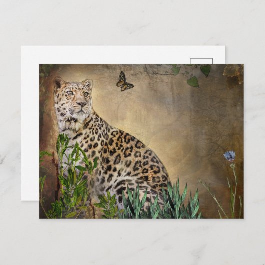 野生動物ヒョウと蝶デジタル絵画ズ ポストカード (正面/裏面)