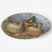 野生動物マラード・アヒルの写真 ペーパープレート (アングル)