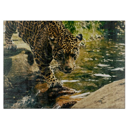 野生動物ヤマネコ動物ヒョウ自然 カッティングボード (正面)