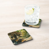 野生動物ヤマネコ動物ヒョウ自然 コースター (右側)