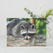 野生動物ラクーンログ哺乳動物写真誕生日 招待状 (スタンド正面)