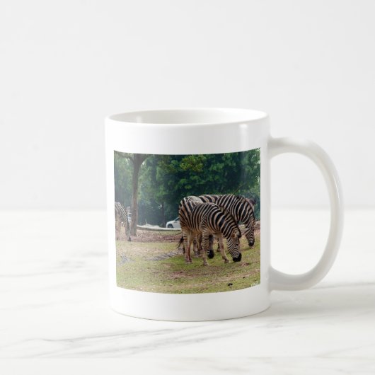 野生動物園のシマウマ コーヒーマグカップ (右)
