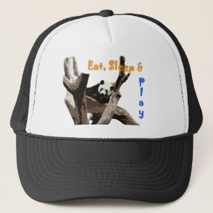 野生動物園写真のジャイアントパンダ。 キャップ