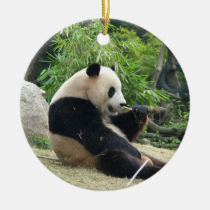 野生動物園写真のジャイアントパンダ。 セラミックオーナメント