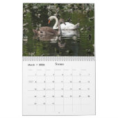 野生動物子供へ カレンダー (3月 2026)