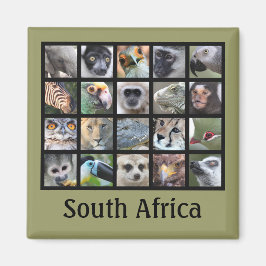 野生動物顔 – 哺乳類、爬虫類、鳥類 マグネット