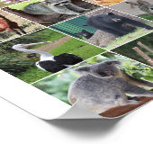 野生動物15匹の野生動物が描かれる ポスター (角)