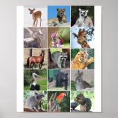 野生動物15匹の野生動物が描かれる ポスター (正面)