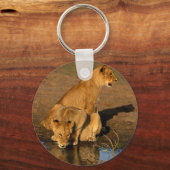 野生動物300 キーホルダー (正面)