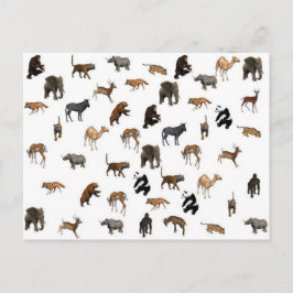 野生動物 ポストカード