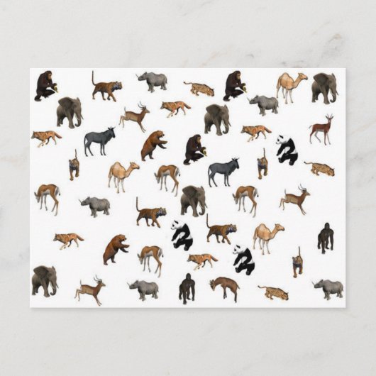 野生動物 ポストカード (正面)