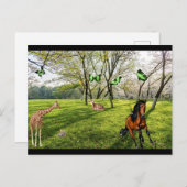 野生動物 ポストカード (正面/裏面)