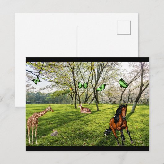 野生動物 ポストカード (正面/裏面)