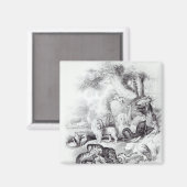 野生動物「地球の歴史」 マグネット (正面/裏面)