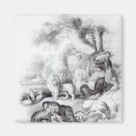 野生動物「地球の歴史」 マグネット (正面)