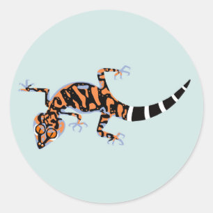 野生動物 – 地面GECKO – 絶滅危惧種 – ラウンドシール