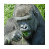 野生動物 – GORILLAS タイル (正面)