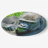 野生動物 – GORILLAS ペーパープレート (アングル)