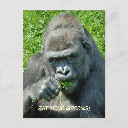 野生動物 – GORILLAS ポストカード (正面)
