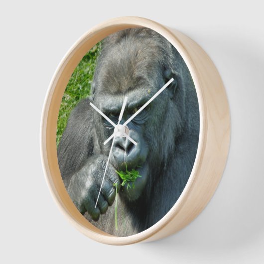 野生動物 – GORILLAS 壁時計 (傾斜)