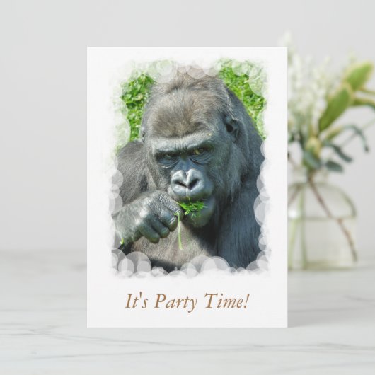 野生動物 – GORILLAS 招待状 (スタンド正面)