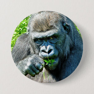 野生動物 – GORILLAS 缶バッジ