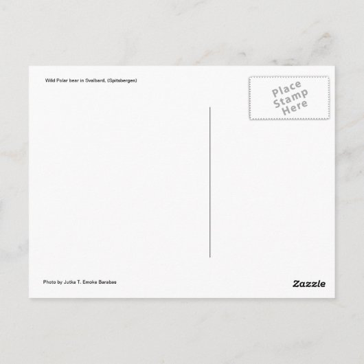 野生威厳のあるのシロクマ ポストカード (裏面)