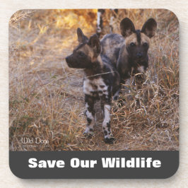 野生救の犬 コースター
