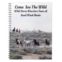 野生来の姿を見る