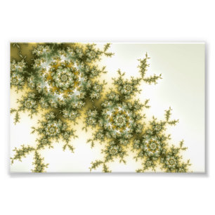 野生植物- Mandelbrotのフラクタルの芸術 フォトプリント