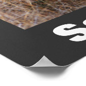 野生犬救のポスター ポスター (角)