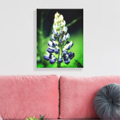 野生独身の紫色のルピナスの花 キャンバスプリント (インサイチュ (リビング))