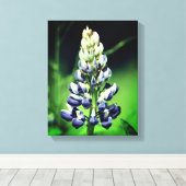 野生独身の紫色のルピナスの花 キャンバスプリント (インサイチュ (ウッドフロア))