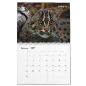 野生猫の写真が付いている壁掛けカレンダー カレンダー (2月 2027)
