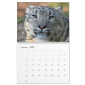 野生猫の写真が付いている壁掛けカレンダー カレンダー (1月 2027)