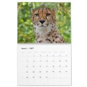 野生猫の写真が付いている壁掛けカレンダー カレンダー (3月 2027)