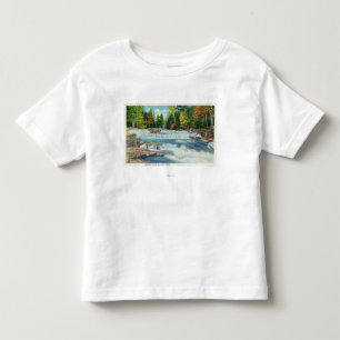 野生猫の川およびジャクソンの滝の眺め トドラーTシャツ