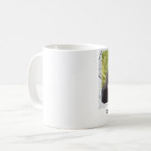 野生猫を保護して下さい コーヒーマグカップ (正面左)