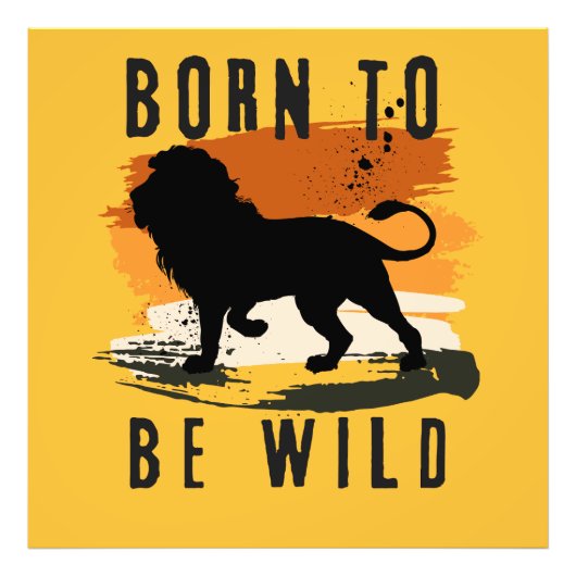 野生生まれの獅子の動物 フォトプリント            (正面)