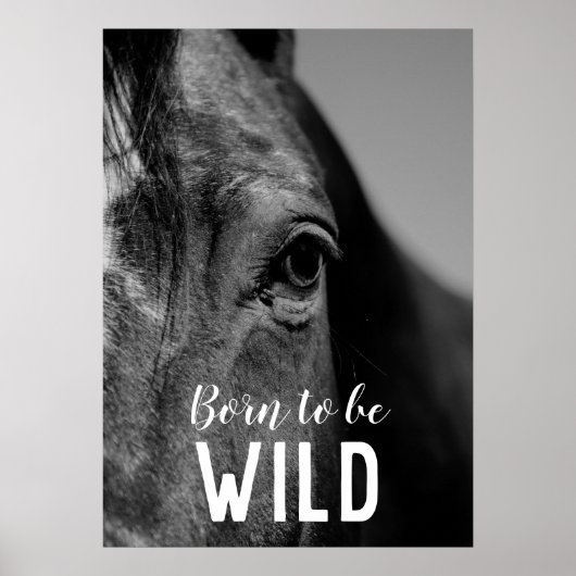 野生生まれの黒と白のクローズアップ馬の目 ポスター (正面)