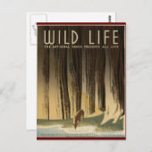 野生生活を保つ ポストカード (正面/裏面)